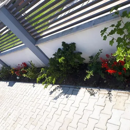 Apartament Saguna Sinnicolau Mare Exterior photo